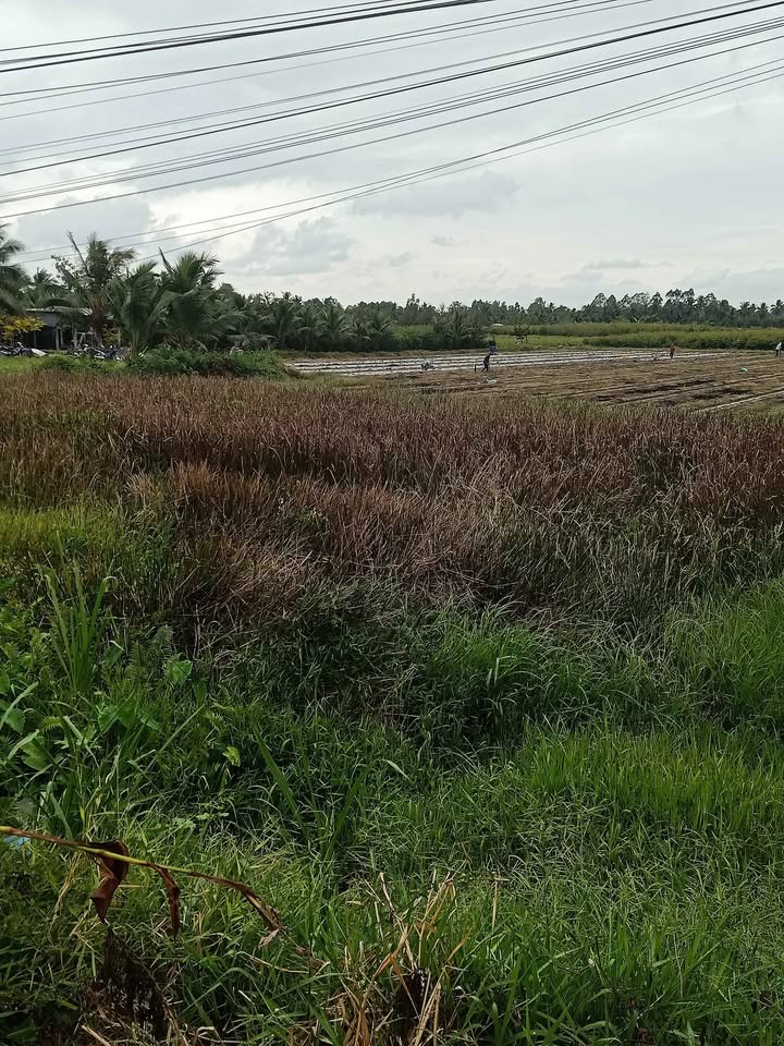 Đất CLN Long Hồ 7656m² giá 14.163 tỷ - Tiềm năng đầu tư bền vững!