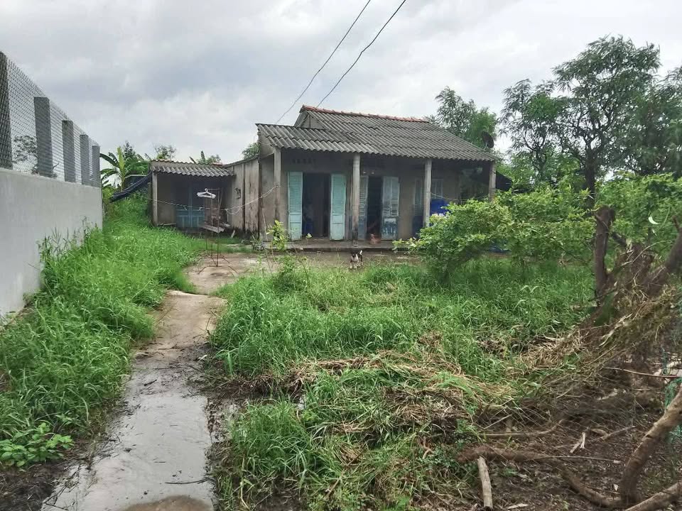 Đất nền Tân Hòa, Gò Công Đông 1366m² - Sổ đỏ chính chủ!