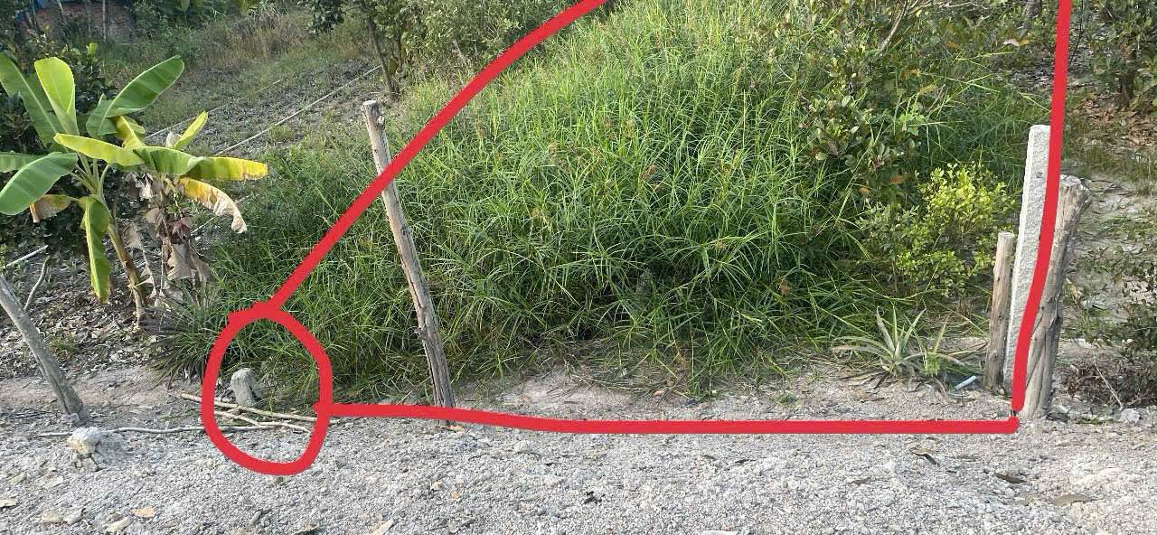 Đất nền 375m² Tân Phước, Tiền Giang - Sổ sẵn, giá 260 triệu