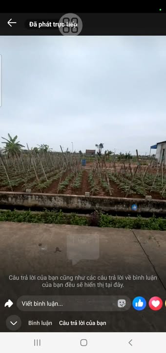 Đất Nam Điền Nghĩa Hưng 190m² giá 1.05 tỷ - Sổ đỏ chính chủ