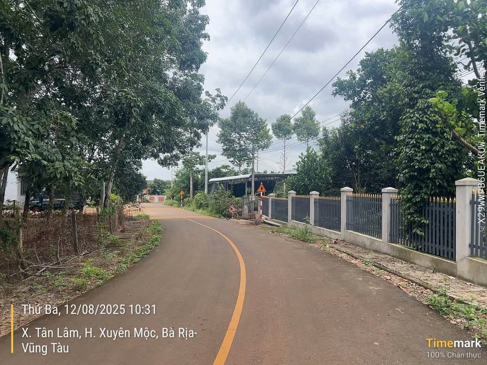 Bán Đất Vườn 15.916m² Xuyên Mộc - Sổ Đỏ Sẵn Sàng