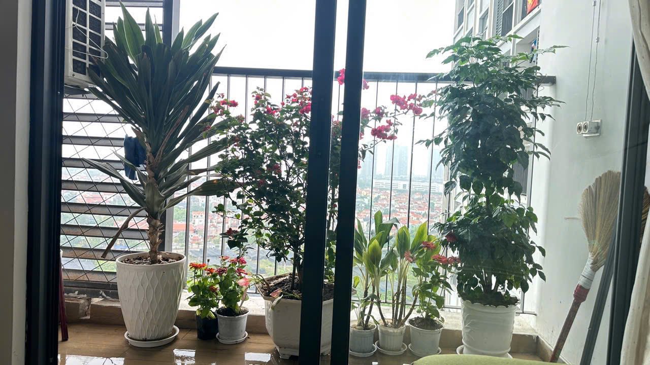 Căn hộ Westbay Ecopark 45m² giá 5.5 triệu - Full nội thất cao cấp!