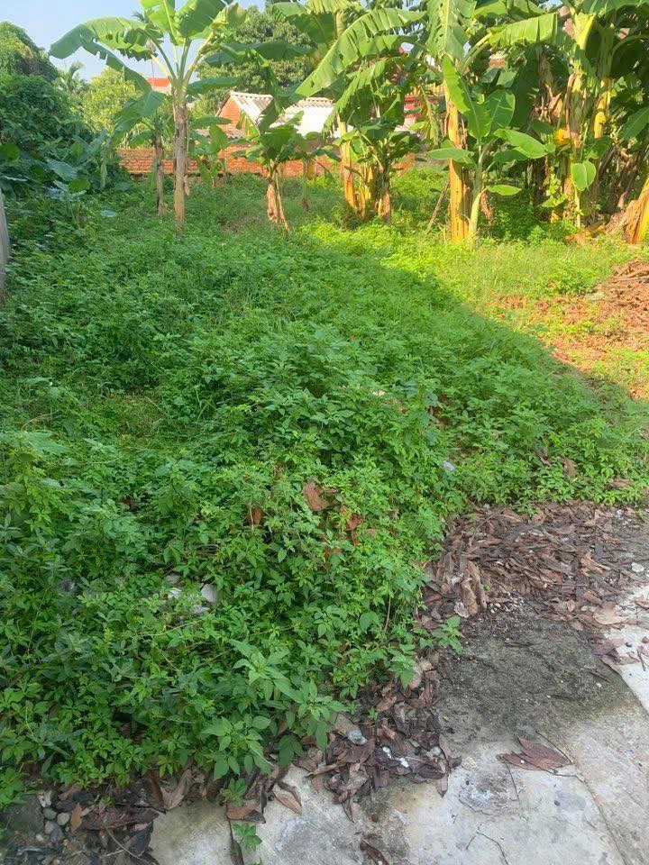 Đất nền Bắc Giang 100m² - Sổ đỏ sẵn, ô tô vào tận nơi