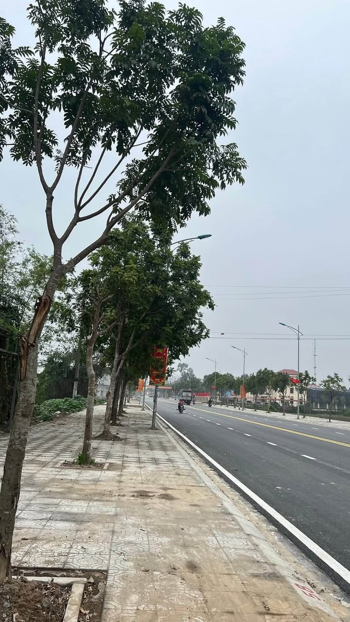 Đất Mặt Tiền Lê Công Thanh, Hưng Yên - 178m² Kinh Doanh Đa Ngành