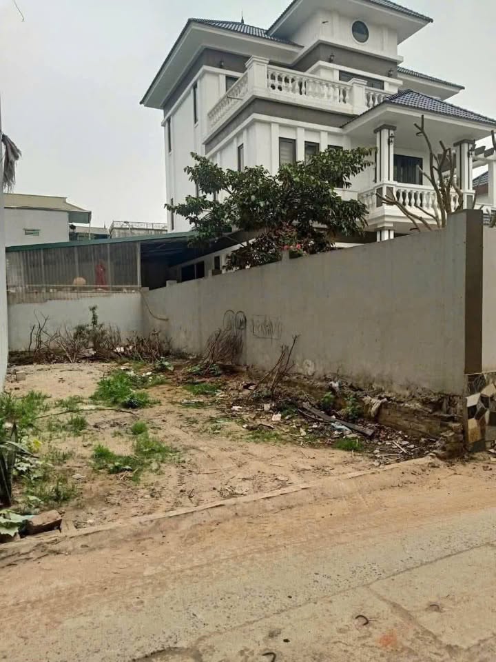 Đất nền Sơn Đồng 52m² giá 5 tỷ - Trục chính kinh doanh sầm uất