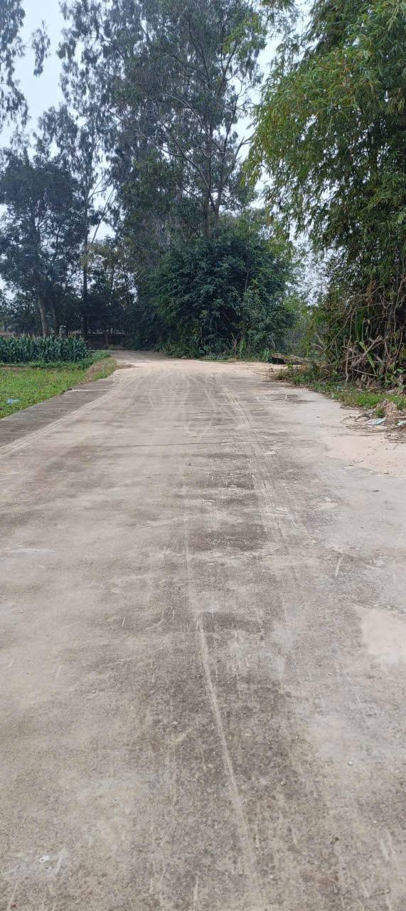 Đất nền Việt Yên 129m² - Đất thổ cư 100%, ô tô vào tận nơi!