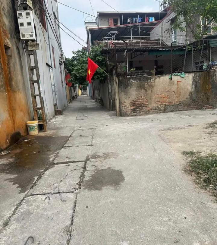 Đất Thổ Cư 103m² Phượng Mao, Quế Võ - Lô Góc 2 Mặt Tiền, Kinh Doanh Sinh Lời