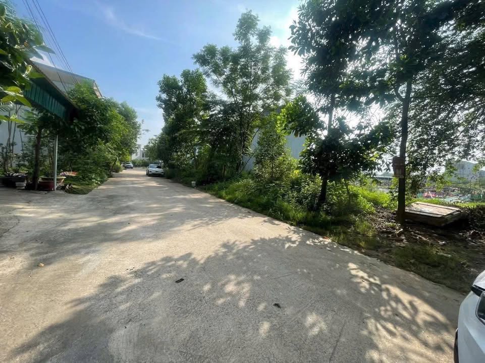 Đất nền Thanh Miếu, Việt Trì - 83m² Hướng Đông Nam, Giá tốt nhất khu vực