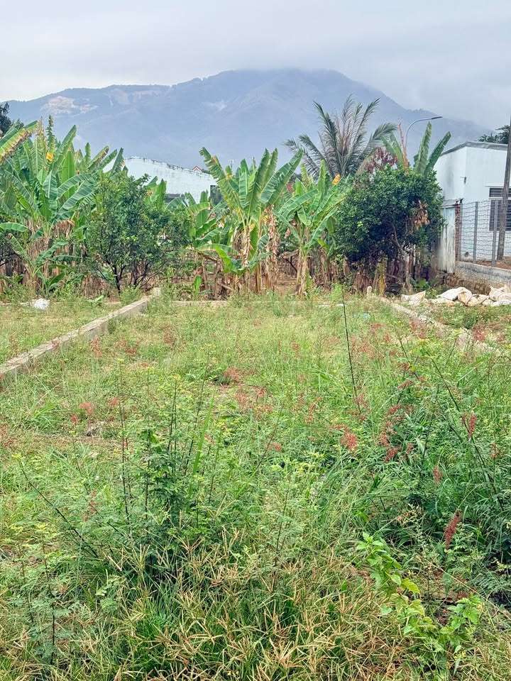 Đất Nền Vĩnh Trung – Võ Dõng 100m² Giá 1.86 Tỷ - Sổ Riêng, Ô Tô Tận Nơi