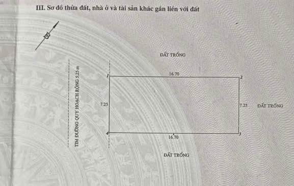 Đất nền Hải An 121m² – Đường to ô tô, tiềm năng tăng giá!