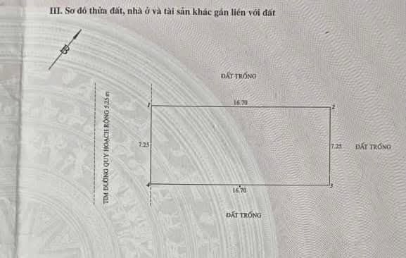 Bán Gấp Đất Xây Biệt Thự 121m² Mặt Tiền 7.25m Đường Thiên Lôi, Hải Phòng