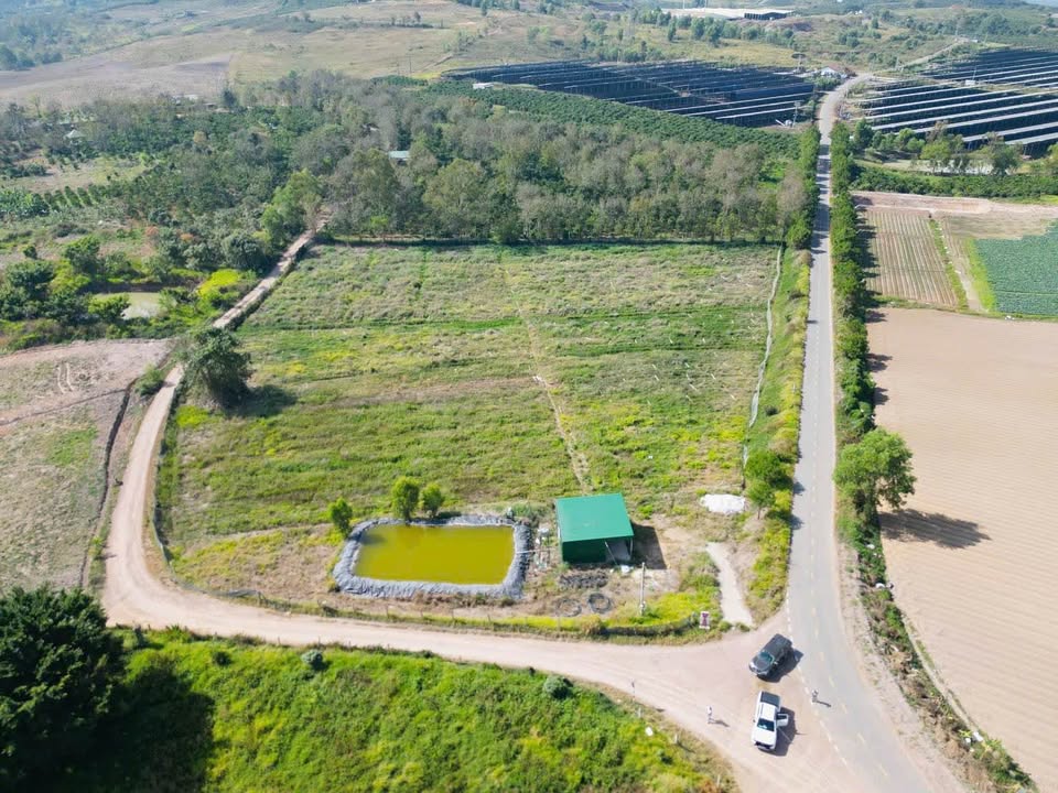 Đất nền Ninh Gia, Đức Trọng 1.4ha, từ 1x tỷ - Tiềm năng tăng giá vượt trội!