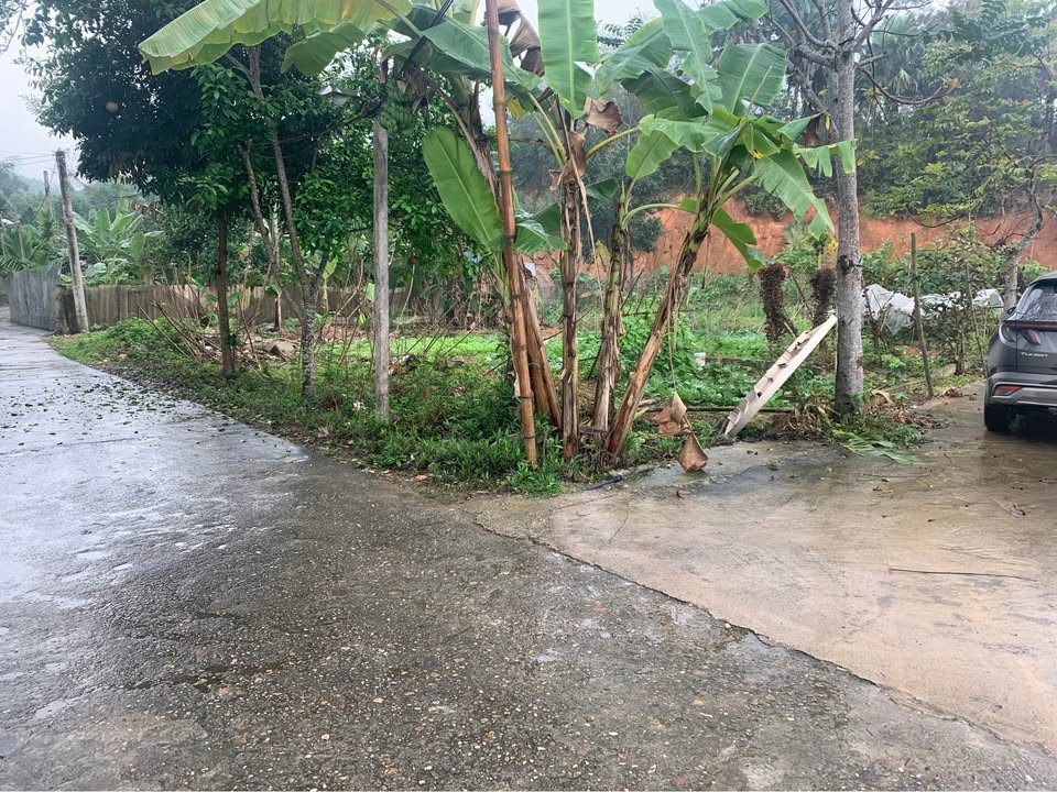 Đất nền TP Tuyên Quang 200m² - Tiềm năng tăng giá vượt trội!