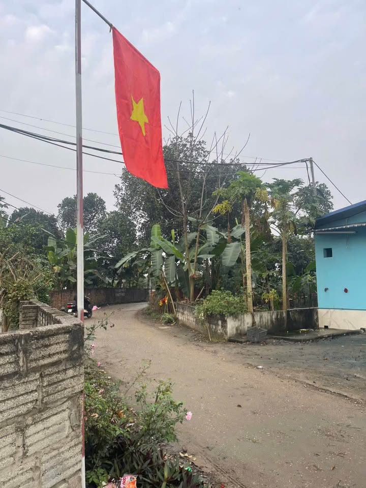 Đất Vườn Tuyên Quang 520m² Giá 1.65 Tỷ - Sẵn Sàng Xây Dựng