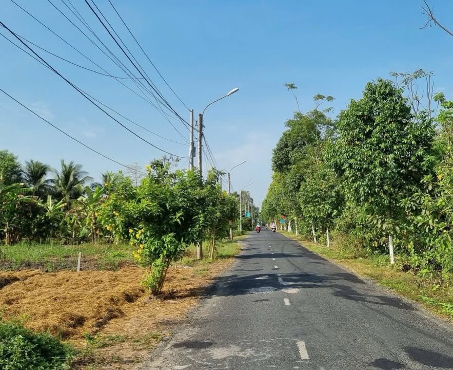 Đất nền Thới Lai, Cần Thơ 900 triệu – Sổ đỏ chính chủ, vị trí đẹp!