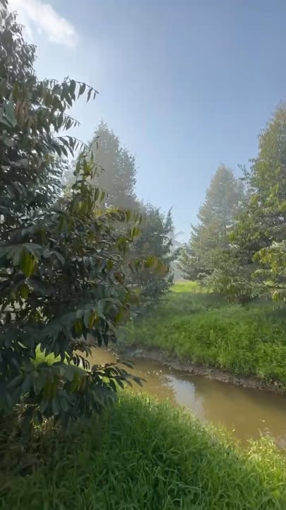 Đất nền Phong Điền, Cần Thơ 2220m² giá 5.6 tỷ - Pháp lý rõ ràng!