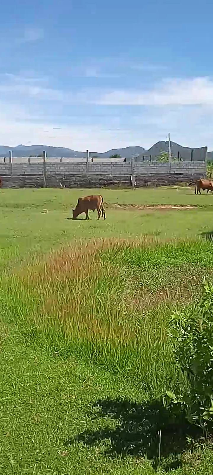 Đất nền Thuận Hòa, Hàm Thuận Bắc 972m² - Tiềm năng tăng giá!