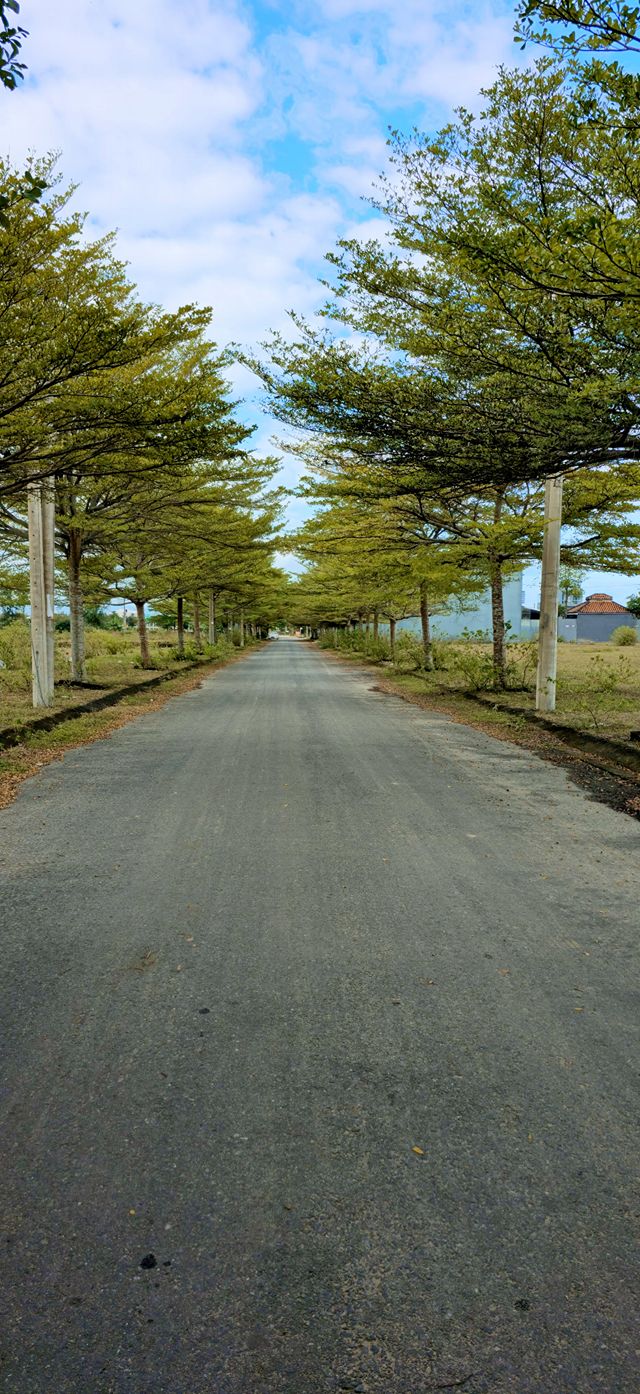 Đất Nền KĐT 7B Điện Bàn - 125m² Sổ Đỏ Sẵn Sàng - Giá Tốt