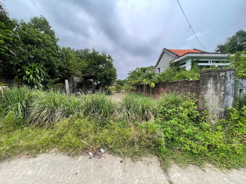 Đất Nền Tân Khai 150m² - Giá 1.65 Tỷ - Sổ Sẵn Sẵn Sàng Giao Dịch