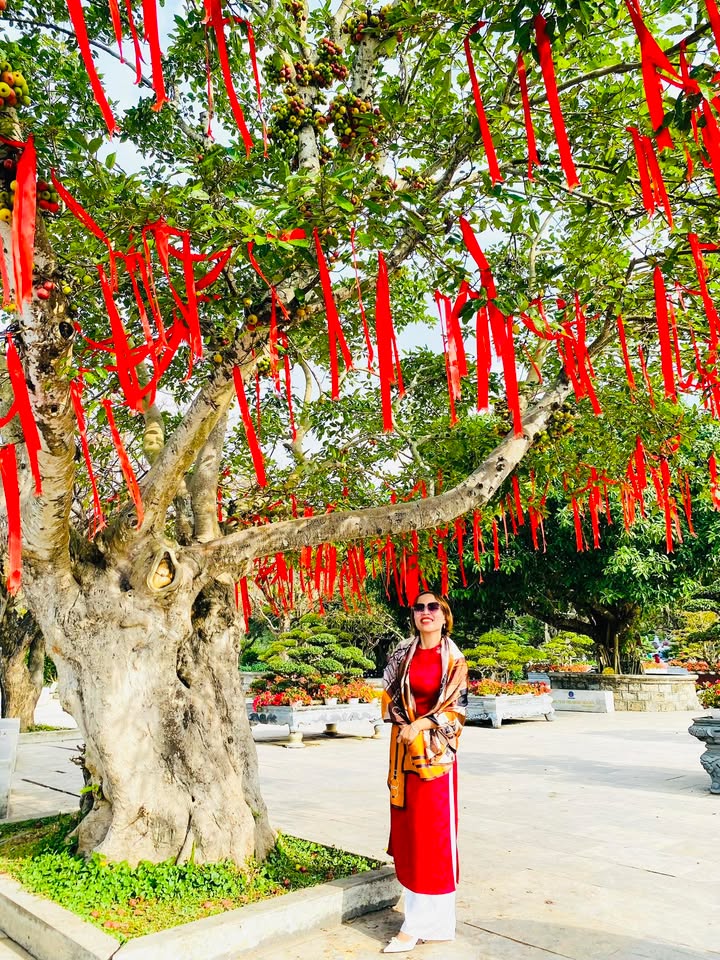 Bán Đất Nam Hà, Điện Trung 125m² Hướng Nam - Giá 4xx Triệu