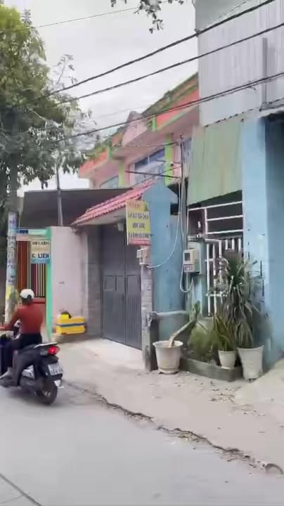 Bán Gấp Nhà Xưởng Sổ Hồng Riêng 256m² Đường Quách Điêu, Bình Chánh - Giá 10.5 Tỷ