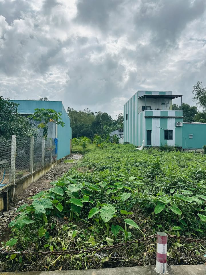 Đất nền Hoà Thuận, Tam Kỳ 115m² - Đường to ô tô, sổ đỏ sẵn sàng!