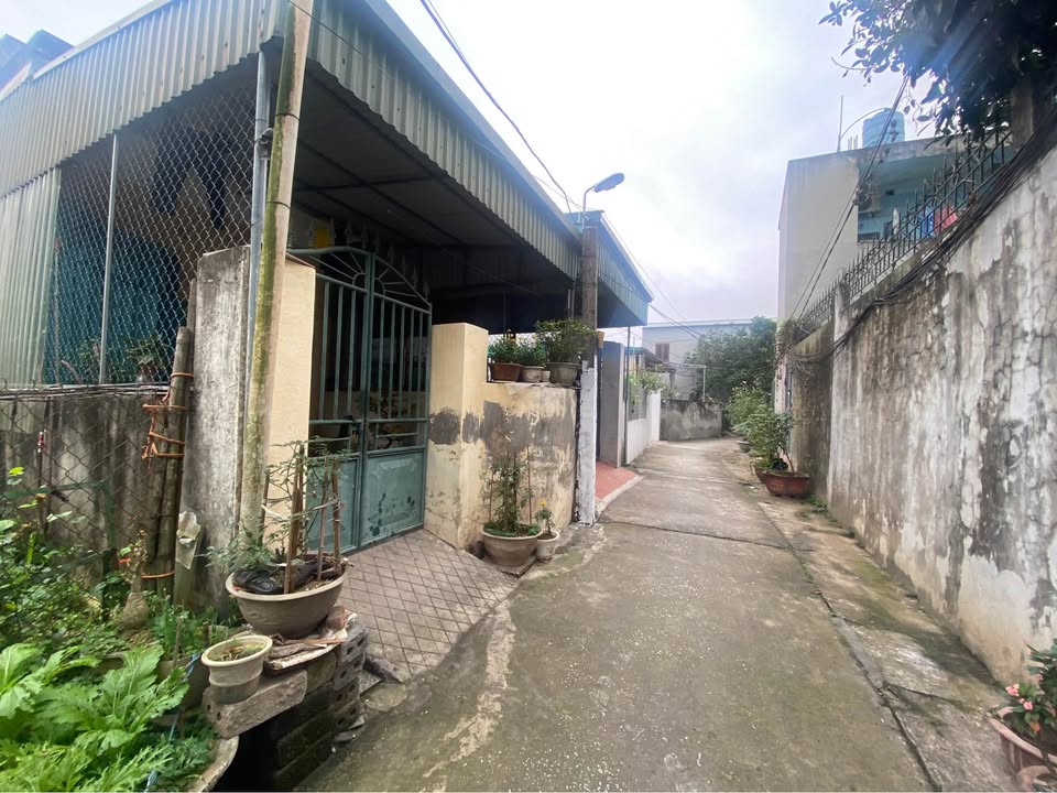 Bán đất 72m² Hoàng Diệu, Thái Bình - Sổ đỏ sẵn sàng, ô tô vào nhà