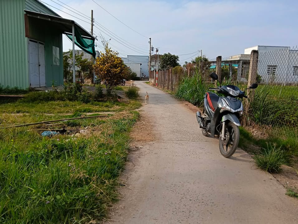 Đất nền Tăng Hoà, Gò Công Đông 1000m² - Tiềm năng tăng giá!