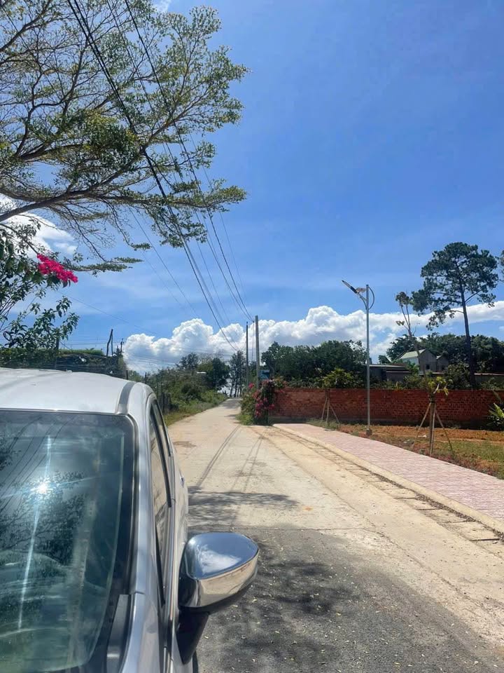 Đất nền Xã Tân Hội, Đức Trọng 150m² - Sổ đỏ chính chủ, vị trí vàng!