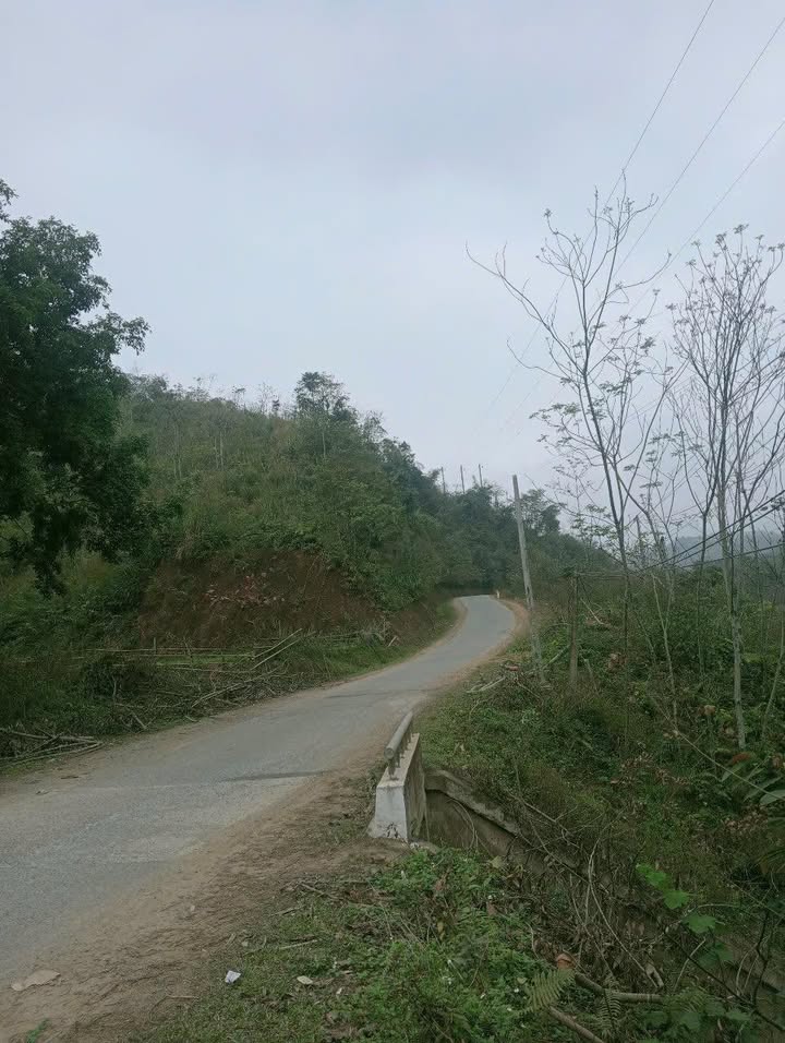 Đất vườn Lương Sơn, Hòa Bình 3ha giá 1 tỷ - Nghỉ dưỡng lý tưởng!