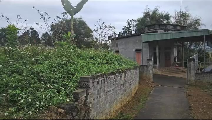 Đất Nam Phong Cao Phong 519m² 500-599 triệu - Đường to ô tô