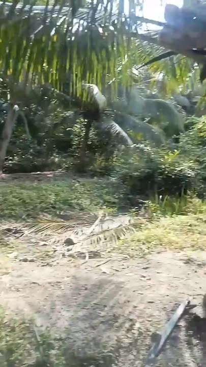 Bán Nền Mặt Tiền Đường Đal Ấp Chông Nô 1, Cầu Kè, Trà Vinh - 440m² Giá 290 Triệu