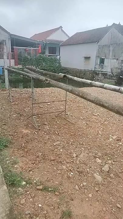 Đất Tràng Sơn Đô Lương - Lô Góc 2 Mặt Tiền 120m² Tặng Vàng Khai Xuân