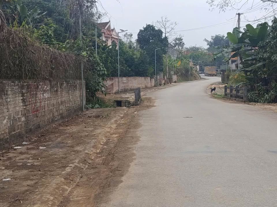 Đất nền Yên Sơn Tuyên Quang 168m² - Sổ đỏ chính chủ!