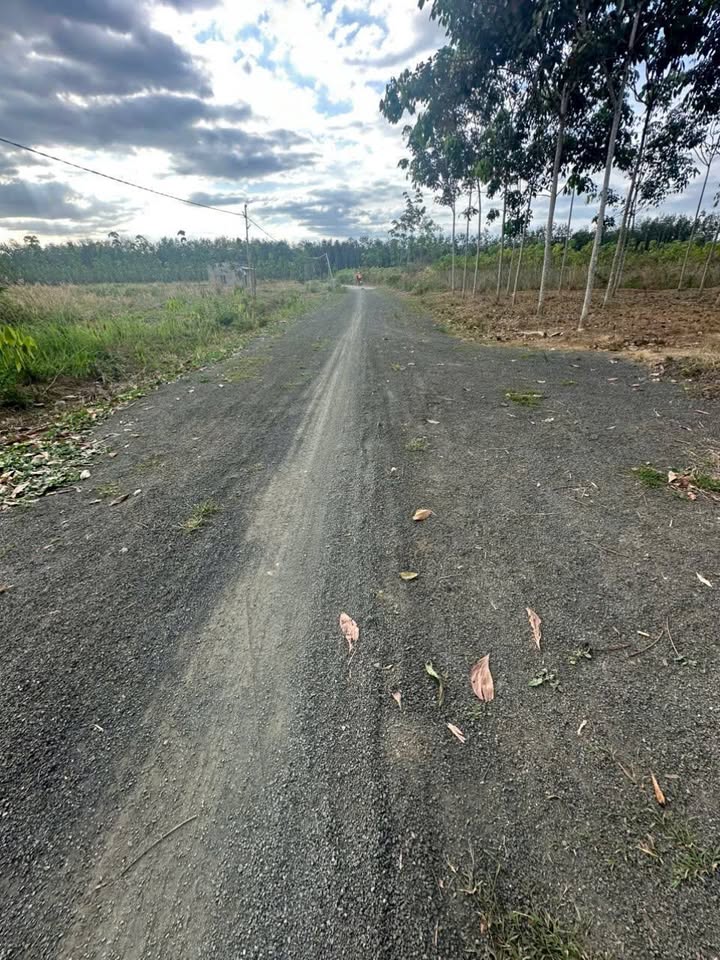 Đất nền Đồng Tâm 135m² - Sổ đỏ chính chủ, giá 260 triệu