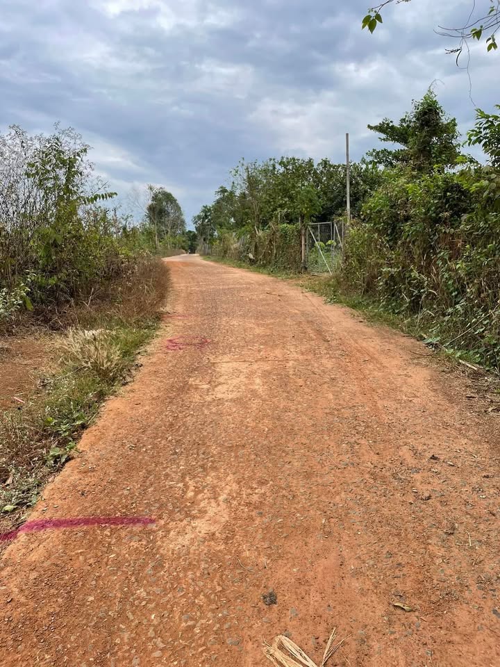 Đất nền An Lộc Bình Long 185m² - Sổ hồng chính chủ giá tốt!