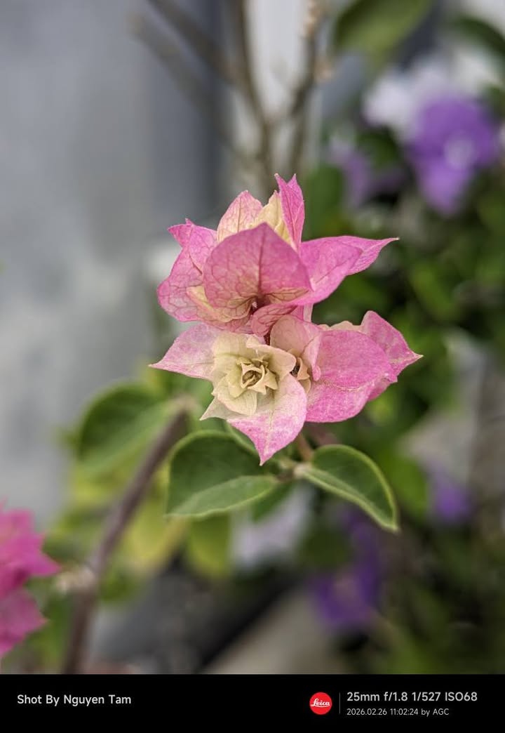 Đất nền Xã Ninh Gia, Đức Trọng 320m²/950 triệu - Sổ đỏ chính chủ