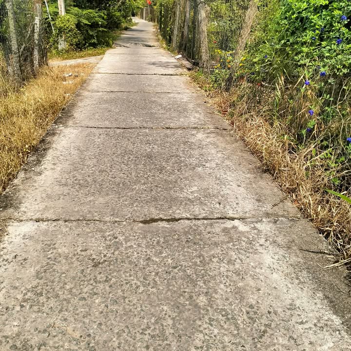 Đất Nền Tam Bình Cai Lậy 104m² Giá 350 Triệu - Sổ Hồng Thổ Cư