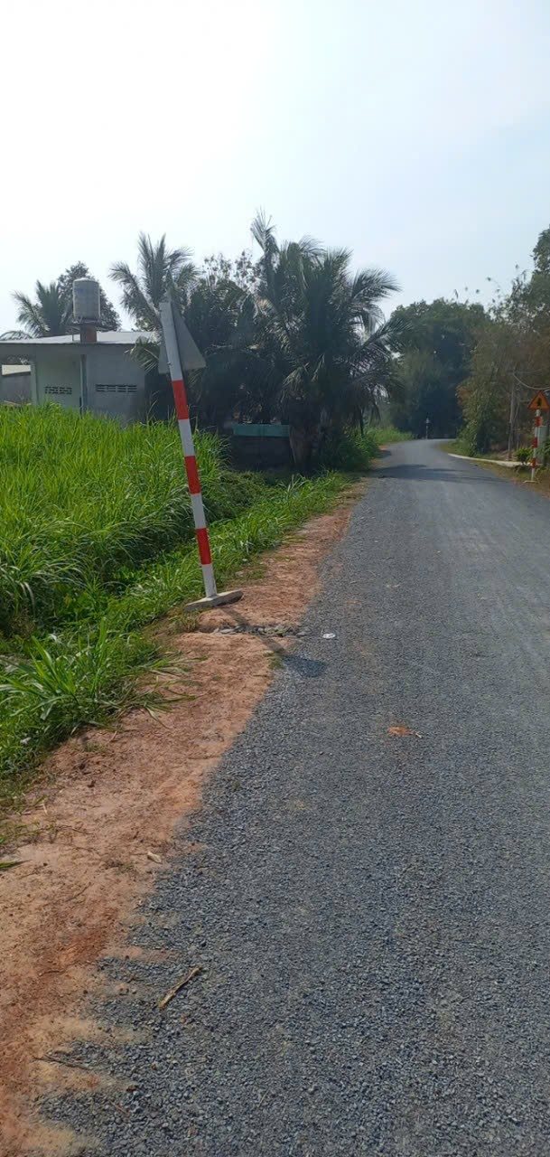 Đất Vàng Trảng Bàng 2000m² - Sổ Đỏ Riêng, Tách 6 Lô, Giá Đầu Tư