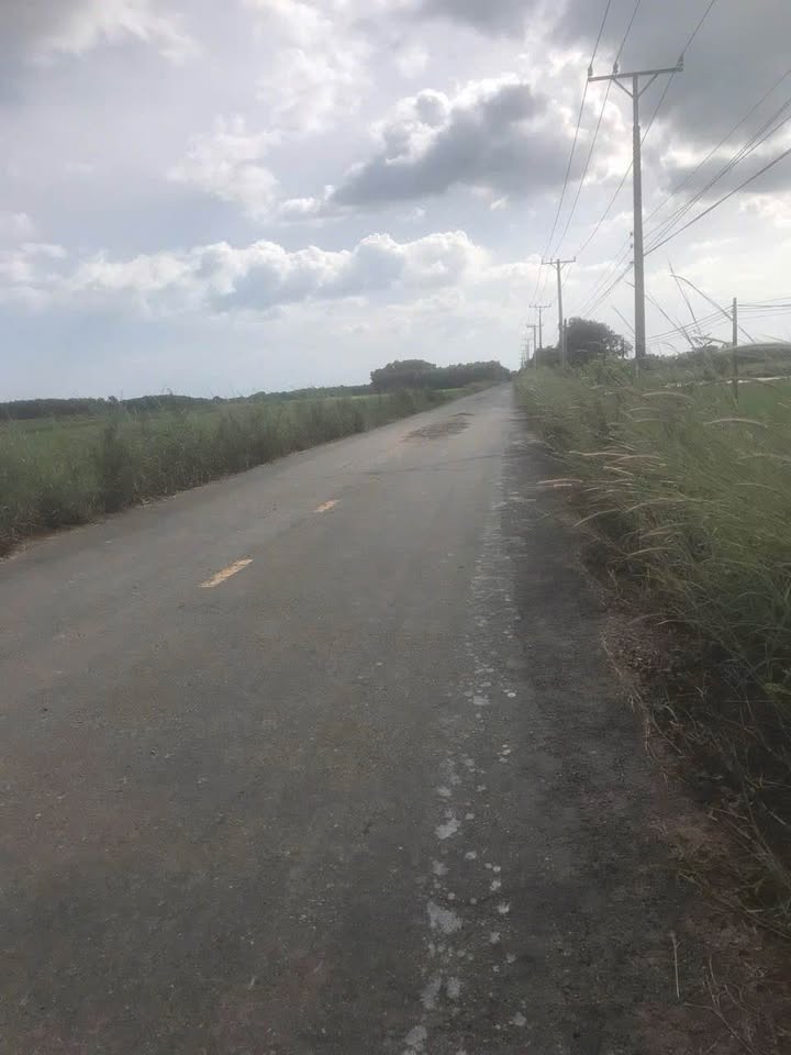 Đất Mặt Tiền Đường Nhựa 970m² Tại Châu Thành, Tây Ninh - Giá 680 Triệu