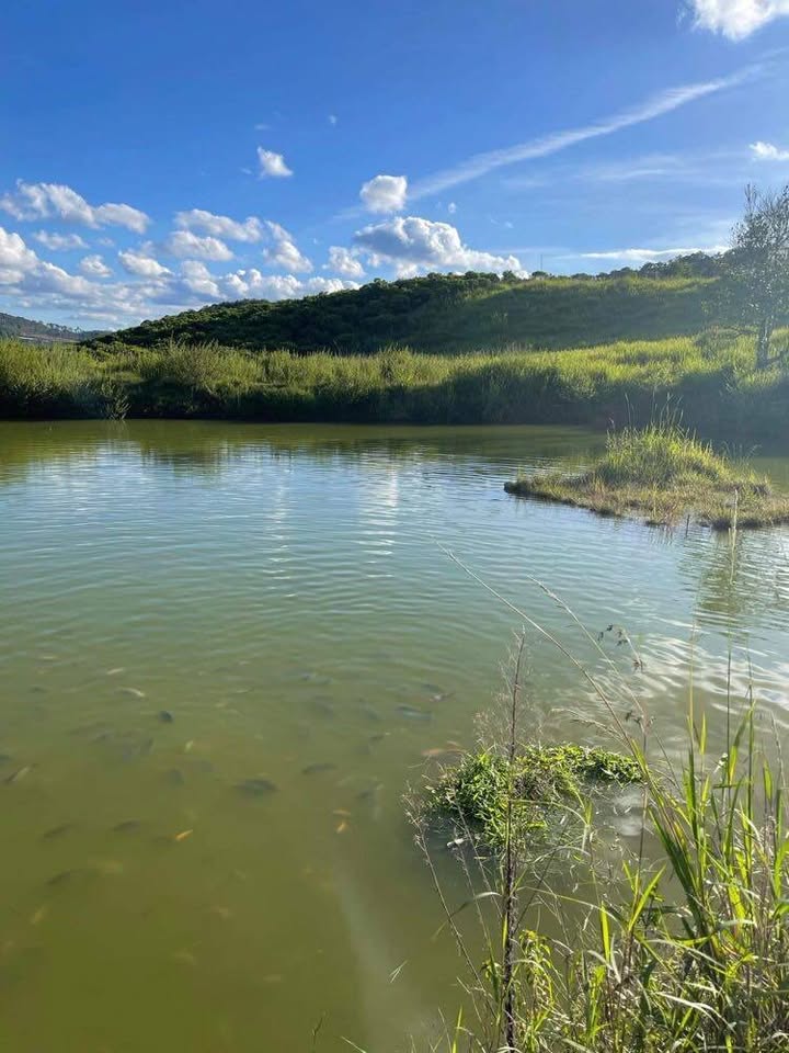 Đất Vườn Xã Đạ Sar, Lạc Dương 24000m² - Sinh thái xanh, tiềm năng du lịch!