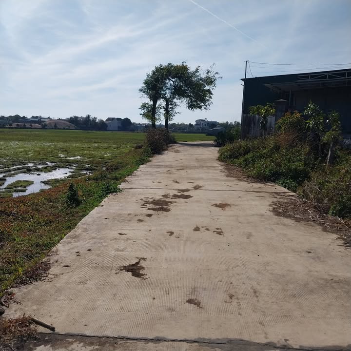 Đất Nền Thống Nhất Pleiku 135m² Giá 7xx Triệu - Sổ Đỏ Chính Chủ