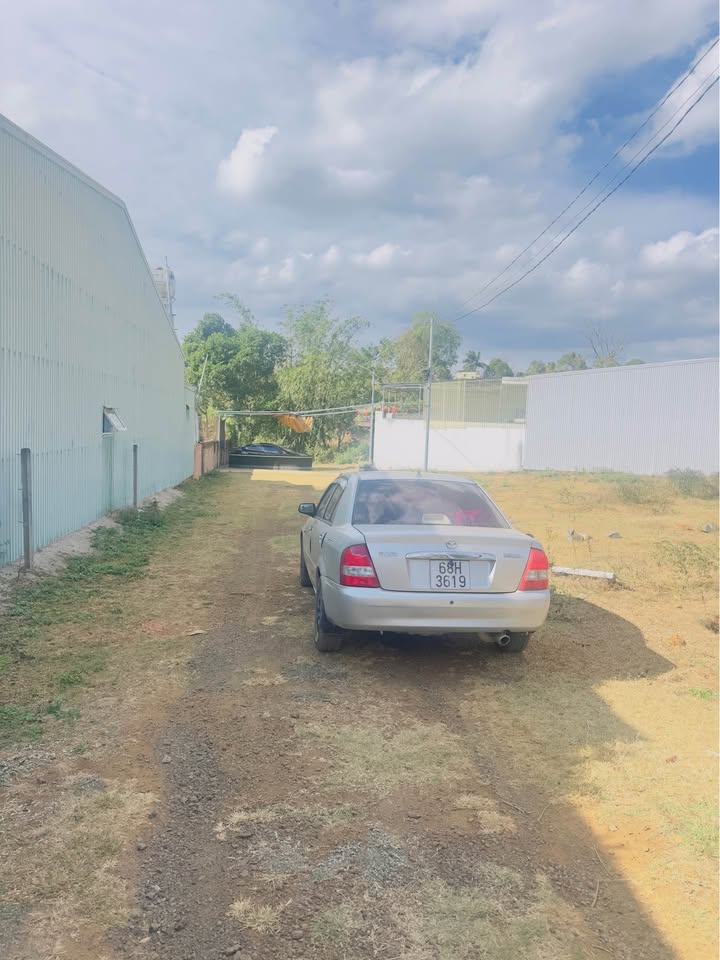 Đất Vàng Hẻm Bùi Đình Tuý - Pleiku 185m² Full Thổ Cư, Giá Tốt