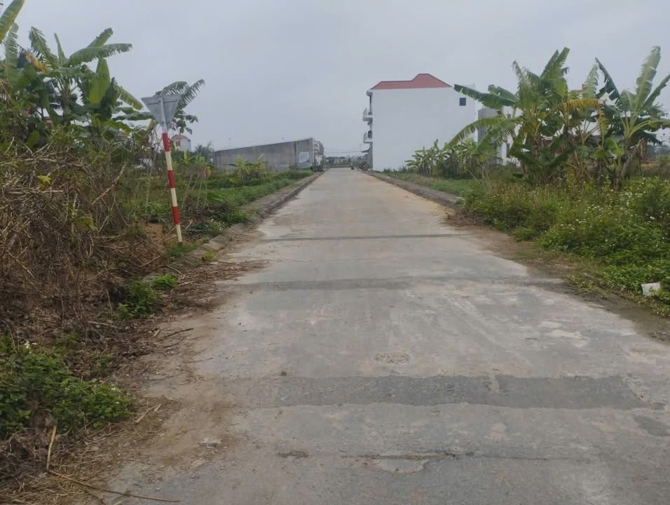 Đất nền Thụy Duyên, Thái Thụy 120m² - Sổ đỏ sẵn sàng, giá 1.6 tỷ