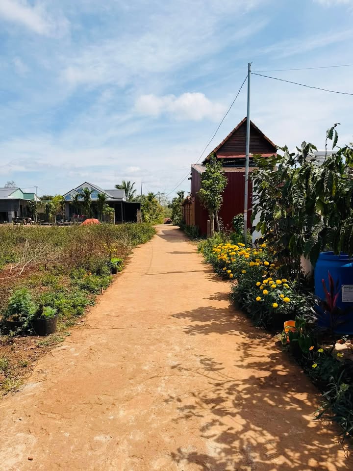 Đất nền Ea Drông Buôn Hồ 125m² giá 360 triệu - Sổ đỏ chính chủ!