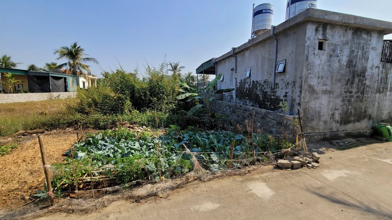 Đất nền Tiền Phong, Quảng Yên 289m² giá 2.7 tỷ - Sổ đỏ chính chủ