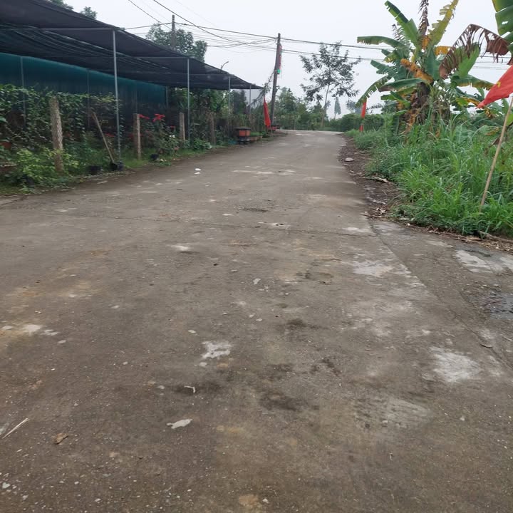 Đất Nền Tam Đảo 120m² Sổ Đỏ Chính Chủ - Vị Trí Đẹp, Sinh Lời Cao