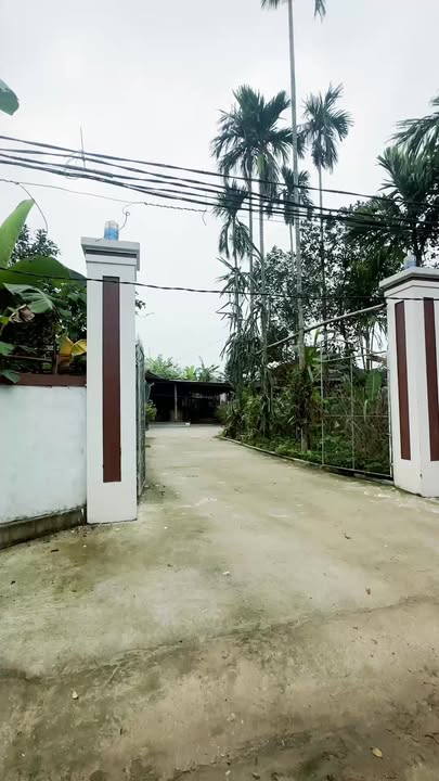 Nhà vườn Sơn Trung, Hương Sơn 3520m² - Nghỉ dưỡng lý tưởng!