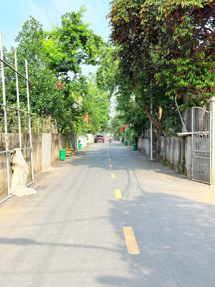 Đất nền Hát Môn 65m² 3 tỷ - Sổ đỏ chính chủ, ô tô vào tận nơi!