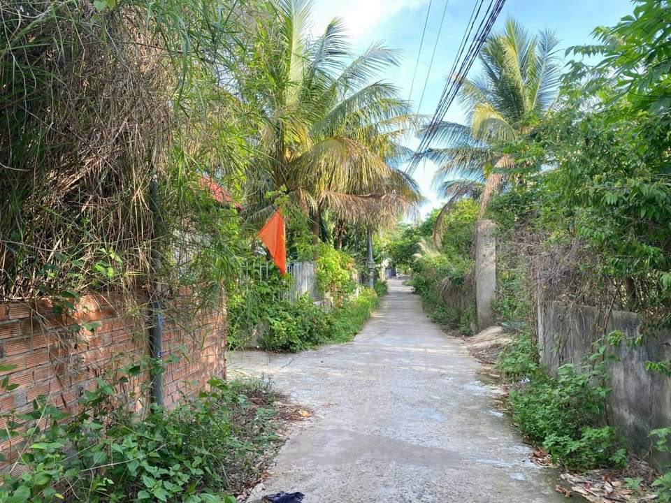 Đất Suối Mây Phú Quốc 500m² 7.5 tỷ - Tiềm năng tăng giá